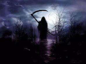 小草神镰刀视频爆料,神秘力量背后的真相曝光